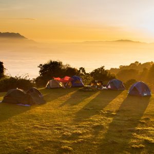 Camping