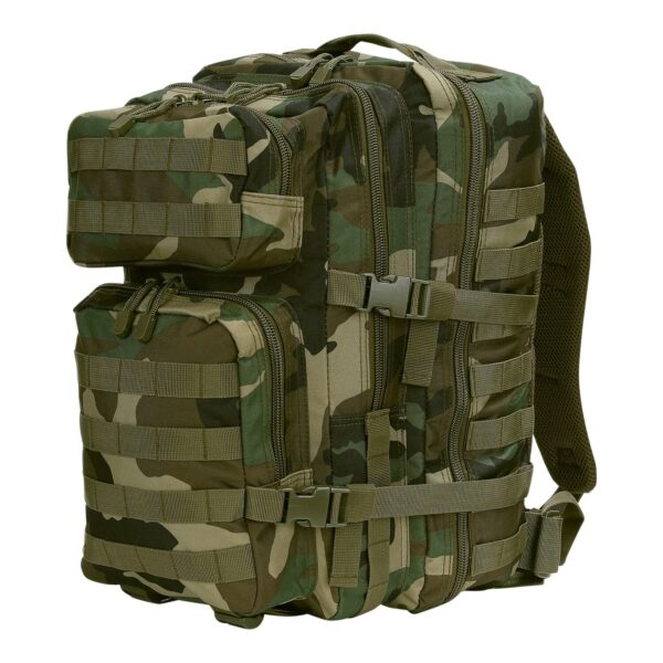 Rugzak Mountain4 1 De <strong>101 INC Rugzak Mountain</strong> is een robuuste rugzak ontworpen voor veelzijdig gebruik, gemaakt van 100% polyester. Deze rugzak is ideaal voor outdooractiviteiten, dagelijks gebruik of tactische doeleinden. Het beschikt over 4 afzonderlijke compartimenten, elk afsluitbaar met een rits, waardoor je spullen georganiseerd en veilig opgeborgen blijven. Dankzij de MOLLE-webbing aan de voor- en zijkanten kun je eenvoudig extra accessoires bevestigen. <strong>Kenmerken:</strong> <ul> <li><strong>Totale inhoud:</strong> 45 liter</li> <li><strong>Materialen:</strong> 100% polyester, duurzaam en slijtvast</li> <li><strong>Compartimenten:</strong> <ul> <li>Voorvak klein: 14 x 21 x 8 cm</li> <li>Voorvak groot: 25 x 21 x 12 cm</li> <li>Middenvak: 43 x 26 x 10 cm</li> <li>Hoofdvak: 46 x 28 x 21 cm</li> </ul> </li> <li><strong>MOLLE-systeem:</strong> Aan de voorzijde en zijkanten voor modulaire uitbreiding</li> </ul>