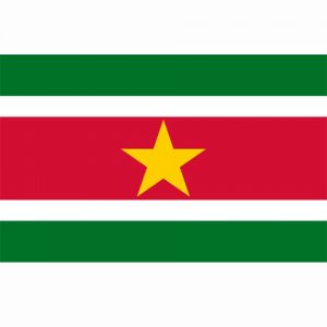 Vlag Suriname