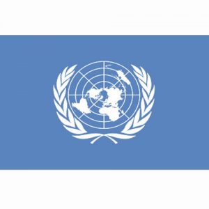 Vlag UN
