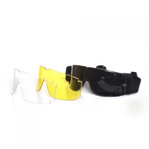 Goggle