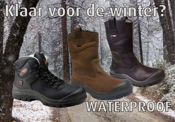 0058535 2 Large