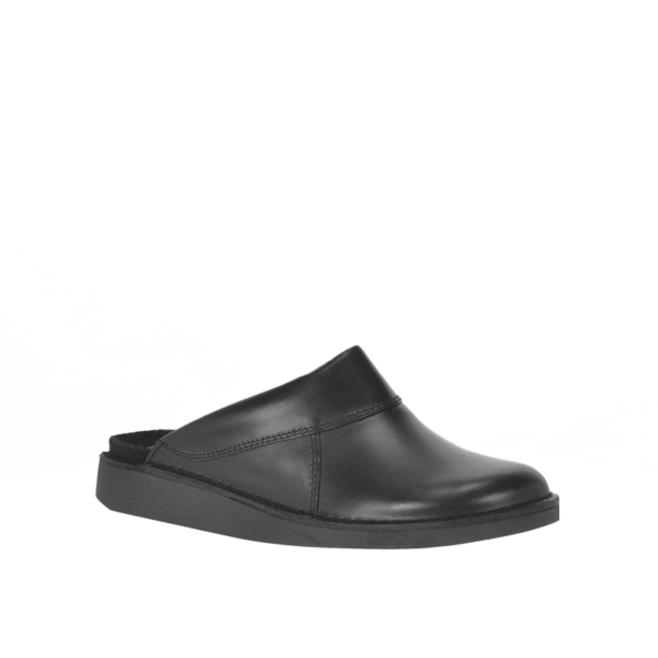 0013594 2 Large