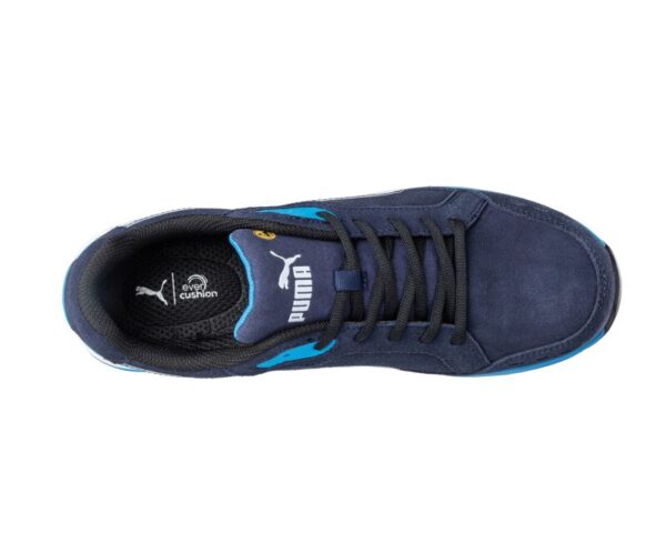 0095769 4 Large