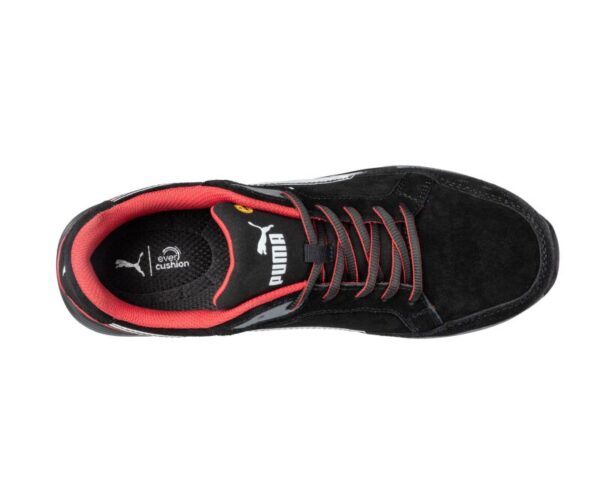 0095770 4 Large
