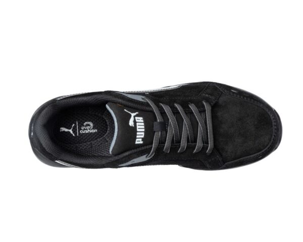 0095772 4 Large