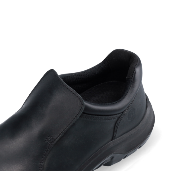 0097430 1 Large