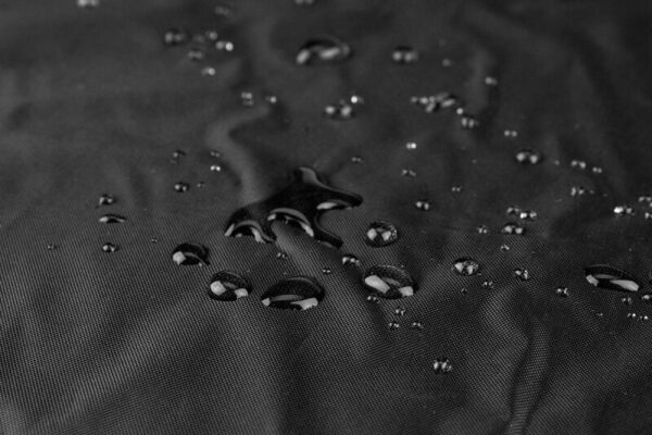 0050636 5 Large